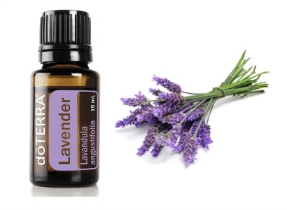 lavender-essential-oils